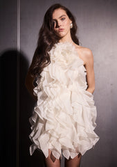 Arina Dress