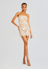 Jaala Sequin Lace Dress